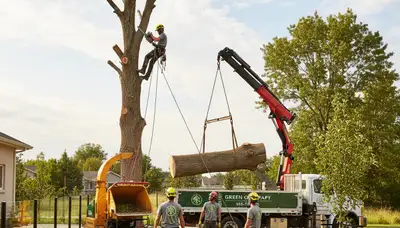 Professional landscaping and tree removal in Overland Park, KS by Chop Chop Tree experts