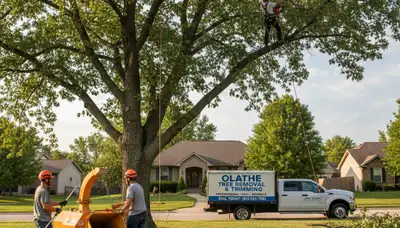 Professional tree removal service crew in Overland Park, KS safely cutting and clearing large oak tree